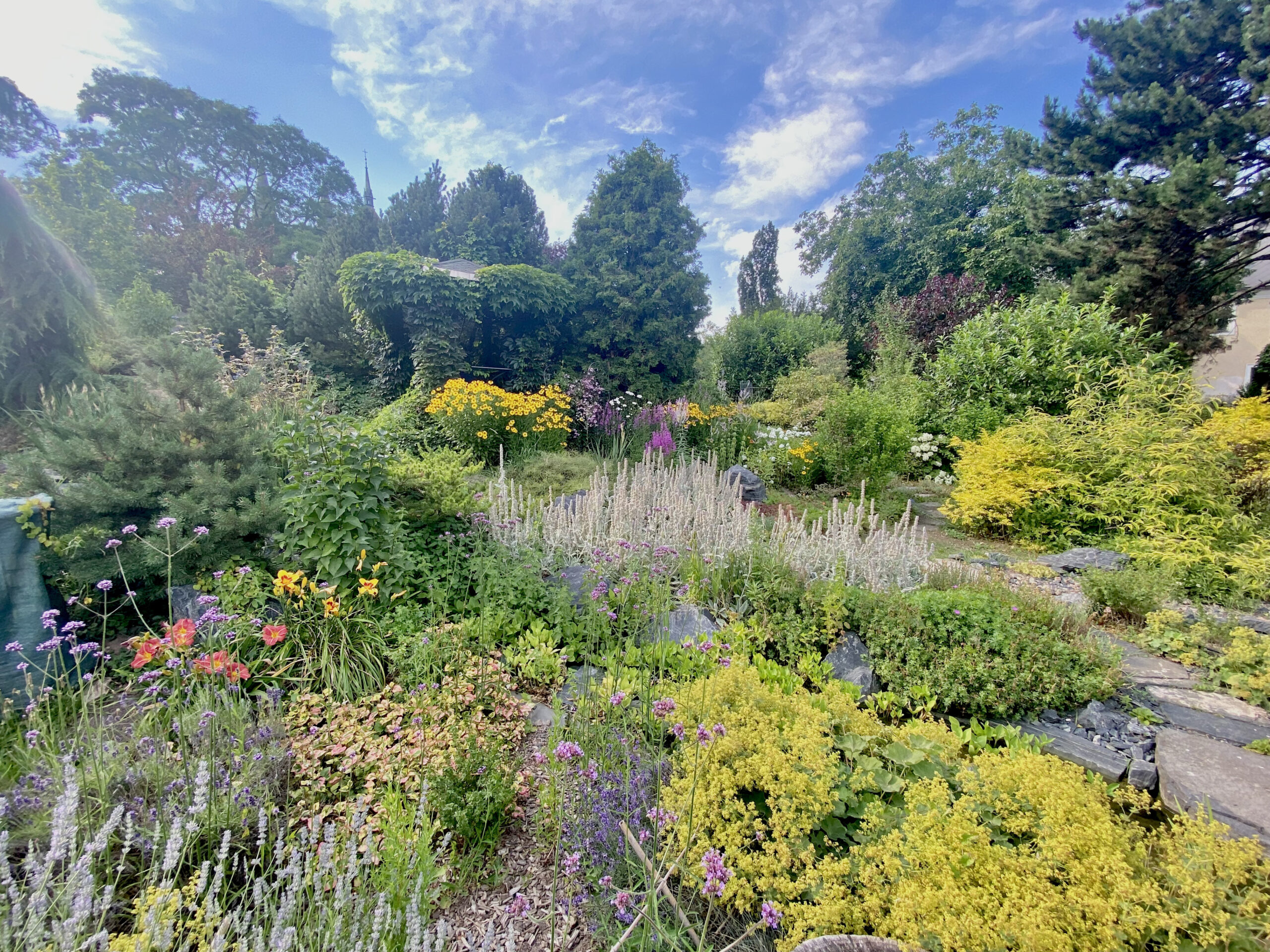 Zen Garden meditation retreat