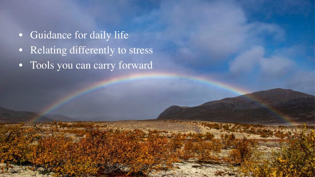 Guidance for daily life Relating differently to stress Tools you can carry forward