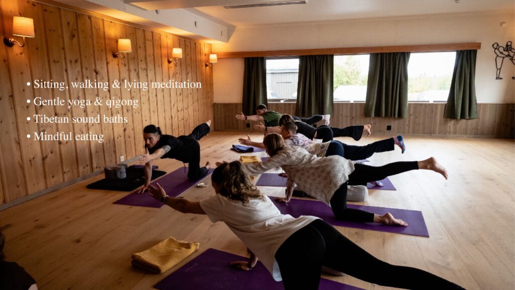 Sitting, walking & lying meditation Gentle yoga & qigong Tibetan sound baths Mindful eating