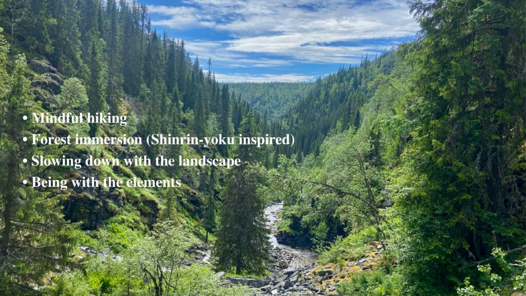 Mindful hiking Forest immersion (Shinrin-yoku inspired) Slowing down with the landscape Being with the elements