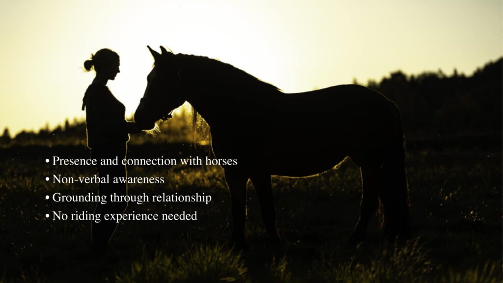 Presence and connection with horses Non-verbal awareness Grounding through relationship No riding experience needed